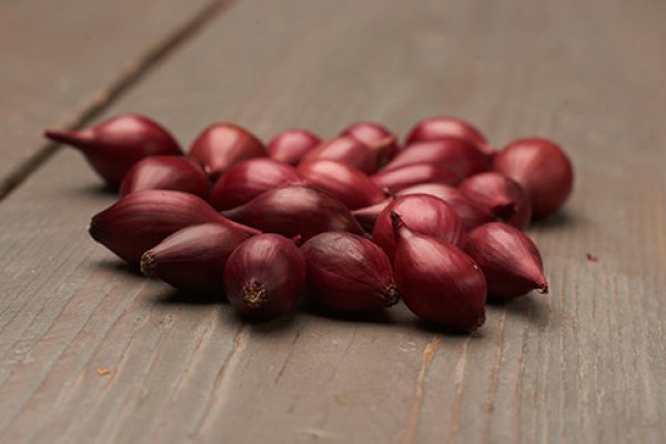 Kraken onion link