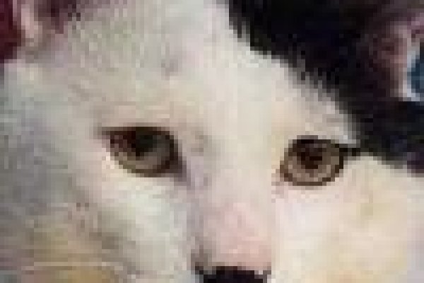 Кракен купить наркотики