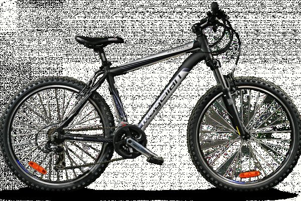 Kraken19 at