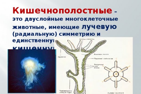 Кракен как войти через тор