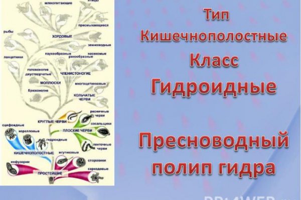 Как вывести деньги с кракена тор