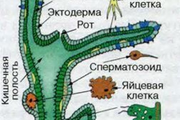 Кракен сайт 2krnk cc
