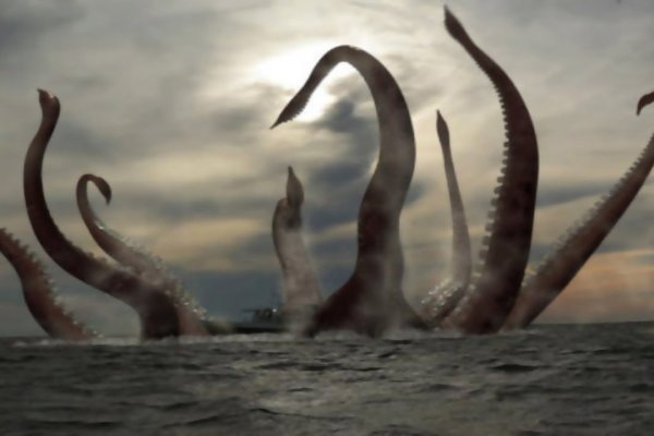 Hydra kraken