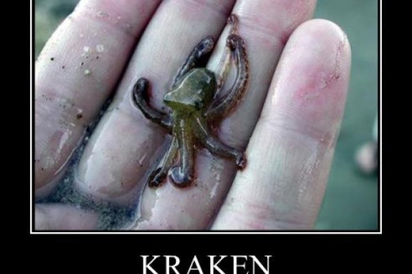 Браузер для кракен
