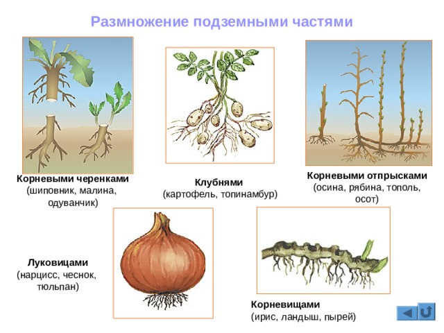 Купить наркотики онлайн
