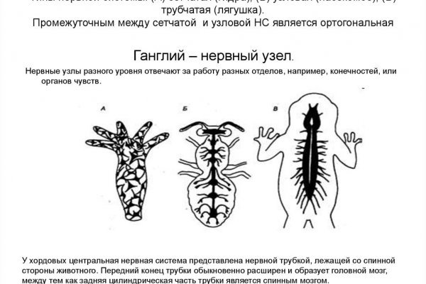 Кракен что можно купить