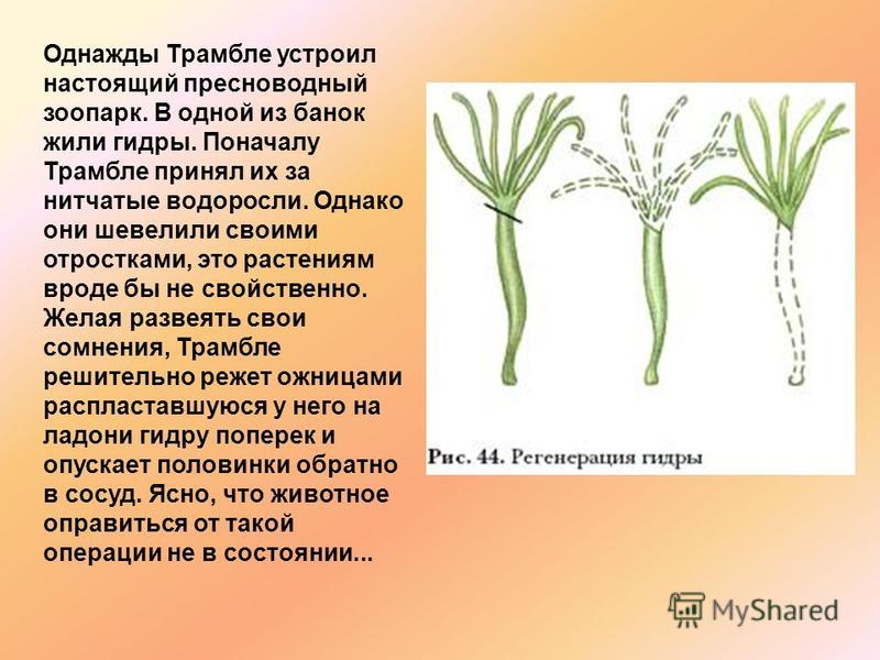 Кракен маркет плей