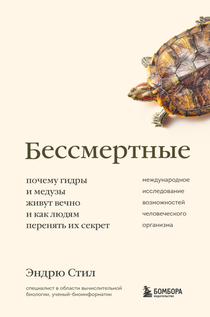 Кракен клир ссылка