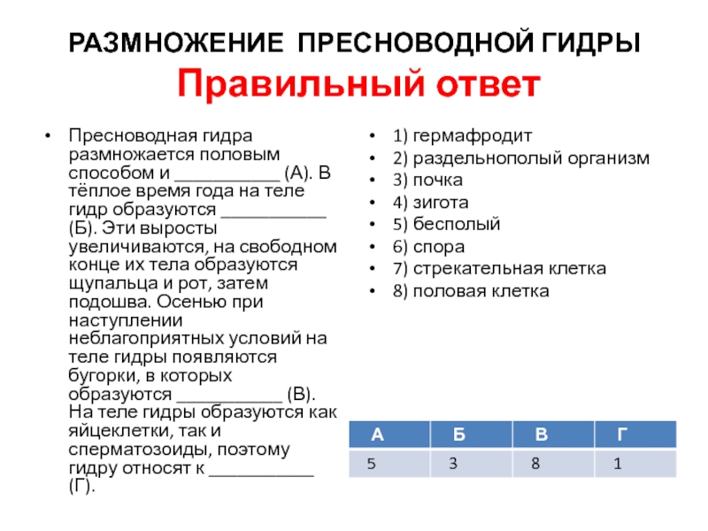 Магазины наркотиков